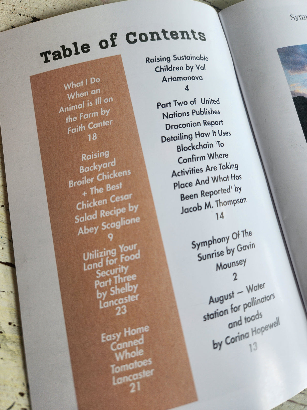Revive the Table Publication