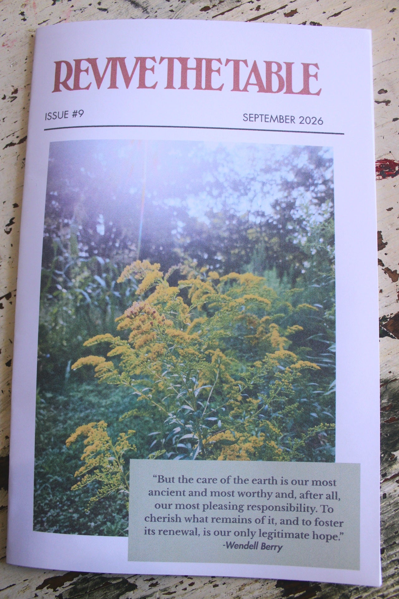 Revive the Table Publication